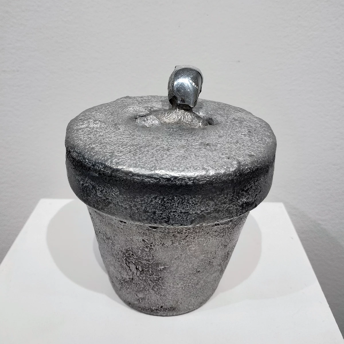 Marcus Egli | Pot
